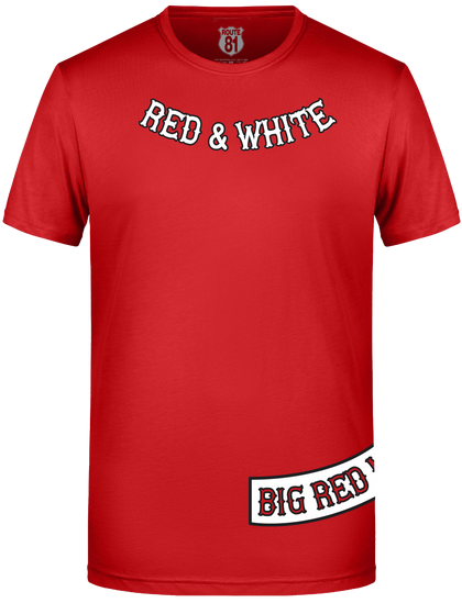 Herren/Shirts