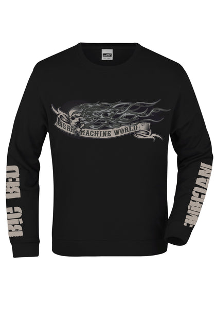 Herren/Pullover